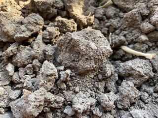 close up of a rock