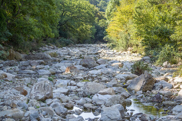 Obraz premium Torrent asséché par un jour d'été en Italie