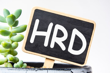 small black chalk board in a pot with succulents inscribed in white letters word HRD Human resource...