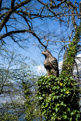 Beautiful lake in Swiss Alps in a sunny spring day with reflections in the lake water, bright colourful lake water