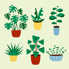 Cactus and succulent plant growing in pots. Vector Cacti and succulents collection of house plants.