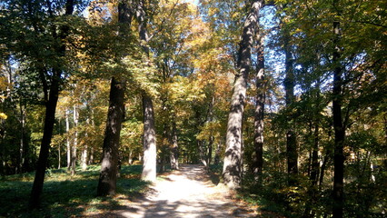 golden autumn in the park. rest time outdoor on a sunny day