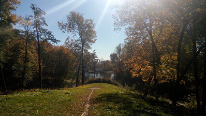 golden autumn in the park. rest time outdoor on a sunny day