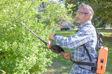 a man cutting the hedges