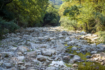 Torrent asséché par un jour d'été en Italie