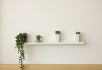 white wall with shelf with green small plants. minimal decoration at home