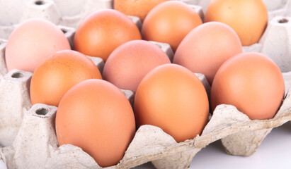 Chicken eggs in carton box