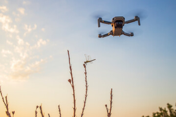 Drone and dragonfly together. Technology inspired by nature every time.