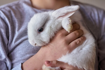 Naklejka premium a boy with a white rabbit in his hands
