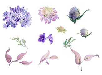 Flowers watercolor illustration.Manual composition.Big Set watercolor elements. - 378915347