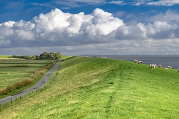 Gordijnen North Frisian coastal landscape with a dike - 3519 © Wolfgang Jargstorff