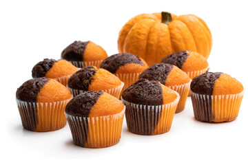 Fresh pumpkin and chocolate minimuffins with pumpkin isolated on white