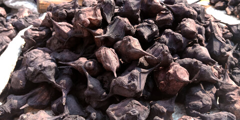 Fresh agriculture produce natural goods.