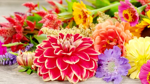 Holiday autumn bouquet in 4K VIDEO. Close up of colorful flowers arranged on old wooden background.