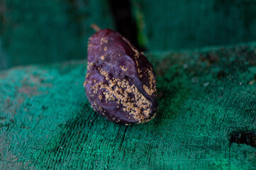 the fruit with mold