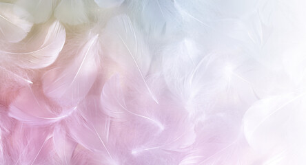 Angel Message Fluffy White Feathers Background - randomly scattered short white curly bird feathers...