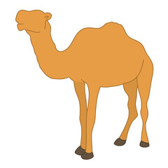 Animal character camel hump standing white isolated background with flat color style