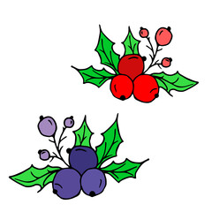 Vector illustration of green holly plant with red, blue  berries isolated on white background. The christmas symbol. For Christmas or new year decoration.	