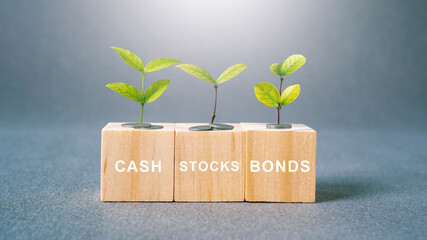 Investment series concept ways to invest money cash stocks bonds