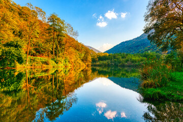 Fototapeta na wymiar Autumn colors in the wood and lake