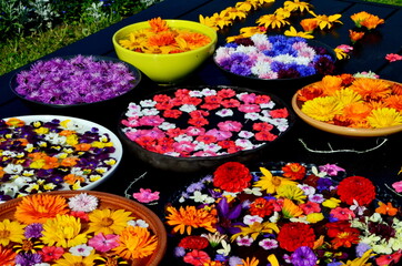 Multi colored garden flowers floating on the water surface in a round container. In the background a garden with flowers. flowers float in a container with water. Flower mandala