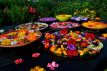 Multi colored garden flowers floating on the water surface in a round container. In the background a garden with flowers. flowers float in a container with water. Flower mandala