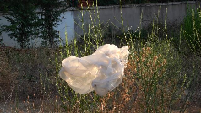 Plastic bags pollute the nature