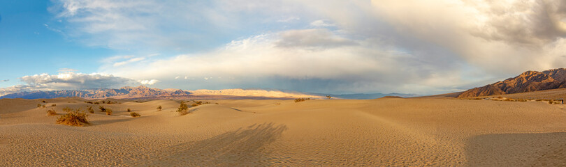 Fototapeta na wymiar Mesquite flats in the death valley desert in sunset light