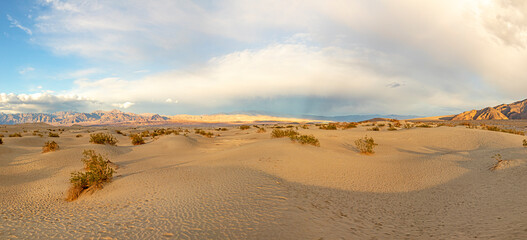 Mesquite flats in the death valley desert in sunset light