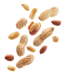 Peeled, unpeeled and whole shell peanuts isolated on white background