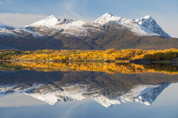 Autumn colors and snowy mountains reflected in a Norwgian fjord