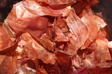 Closeup of onion skins in a plastic bag