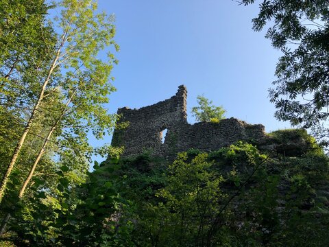 Ruine alt Wädenswil (castle ruine). Ruine through tree crowns with beautiful, sunset light shining on castle and trees.