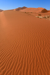 Fototapeta na wymiar Dunes in the deserts of Namibia
