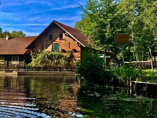 Obraz premium Spreewald in Lübbenau / Lehde (Brandenburg)