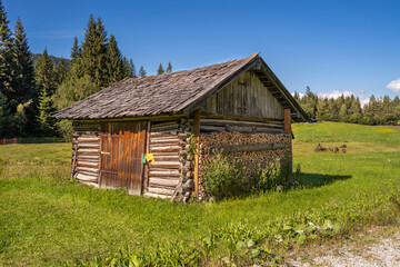 Fototapeta na wymiar Old Wooden Hut in The Pasture