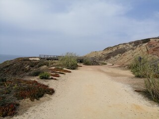 path to the beach