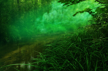 River in green forest smoke Transparent emerald sunlight Morning