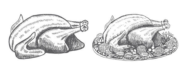 Сhicken for Christmas menu. Sketch illustration.	