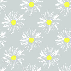 Chamomile flowers. White Daisy petals, flower arrangement on grey background, seamless texture, vector illustration