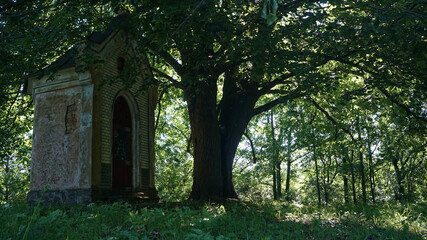 Fototapeta premium An old chapel under lime tree