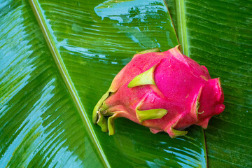 Ripe dragon fruit on a wet green leaf. Vitamins, fruits, healthy foods