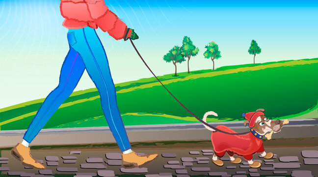Girl walking outdoors with his little dog dressed in warm clothes. Vector colorful illustration of the life of pets