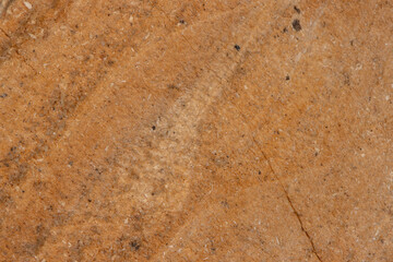 Wood texture background