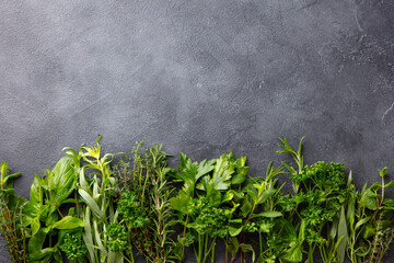 Assortment of fresh herbs. Grey background. Copy space. Top view.
