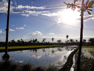 landscape with a lake