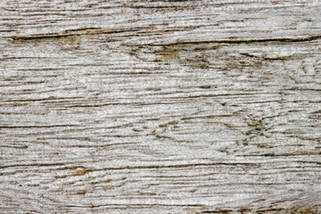 Natural light driftwood textured background