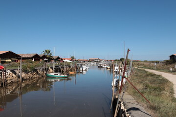 Fototapeta premium boats on the river