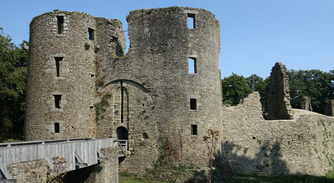 Ch&acirc;teau de Ranrou&euml;t (Herbignac), forteresse du XIII  &egrave;me si&egrave;cle aux abords des marais de Bri&egrave;re