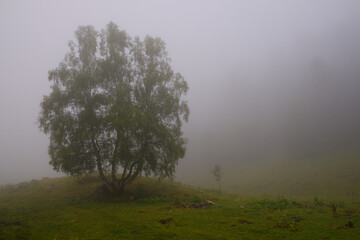 Traveling in the mountains of Arkhyz, Russia
